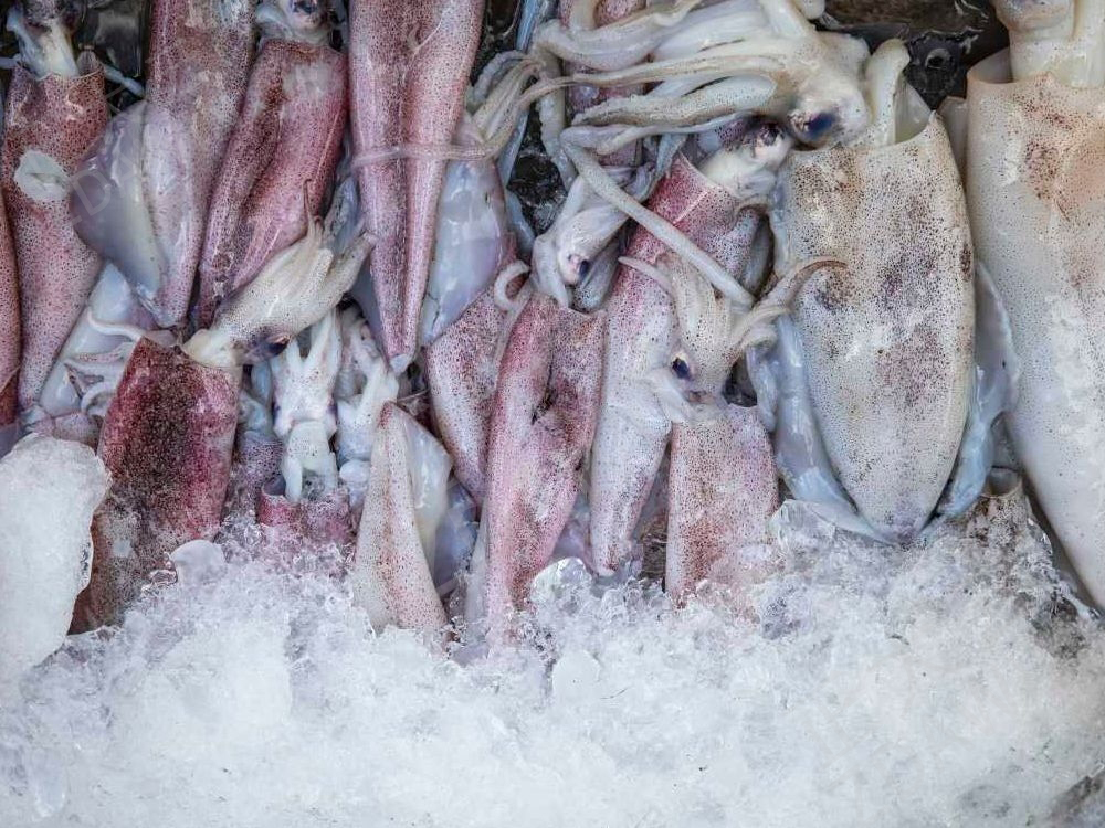 魷魚保水劑 魷魚保水劑